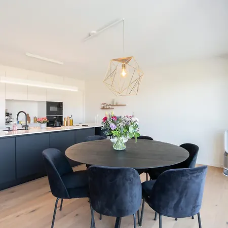 Brand New 3br House With Garden In Mariakerke 오스텐드