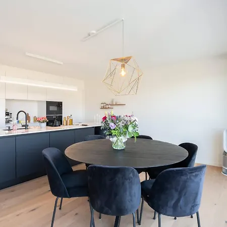 Brand New 3br House With Garden In Mariakerke *