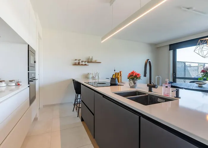 Brand New 3br House With Garden In Mariakerke *